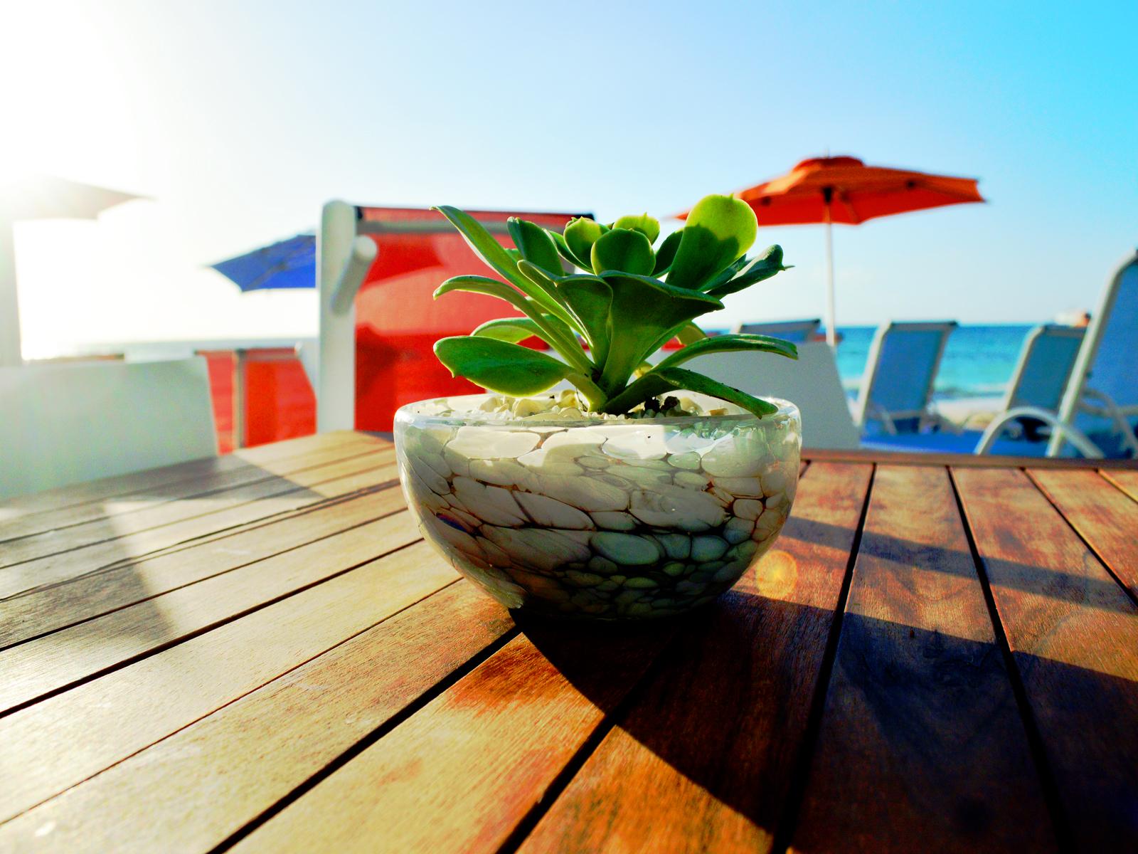 We Uniq Hotel El Carmen Adults Only Playa del Carmen Zewnętrze zdjęcie